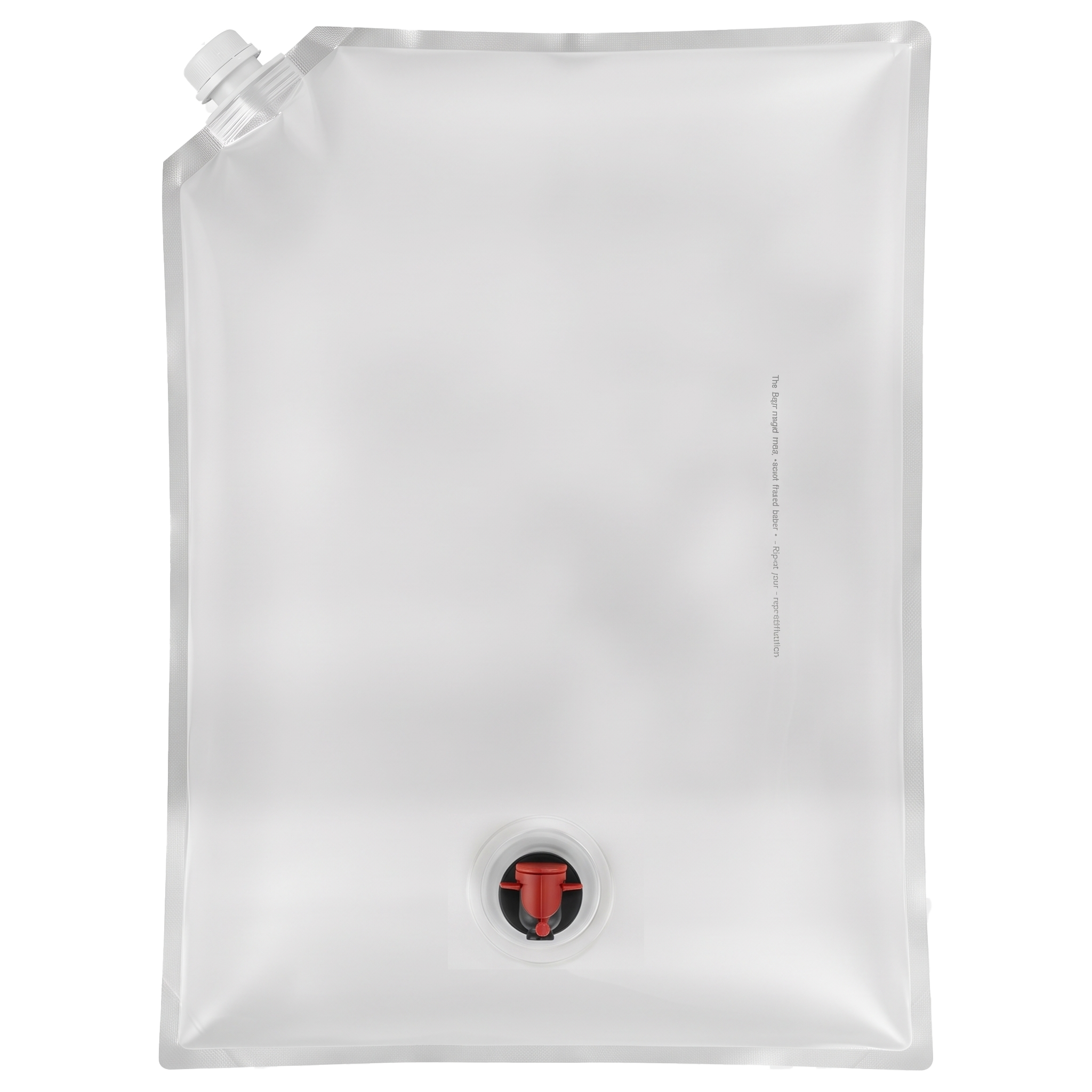 Reusable Dual Spout BIB Bag 2.5 Gallon /10L