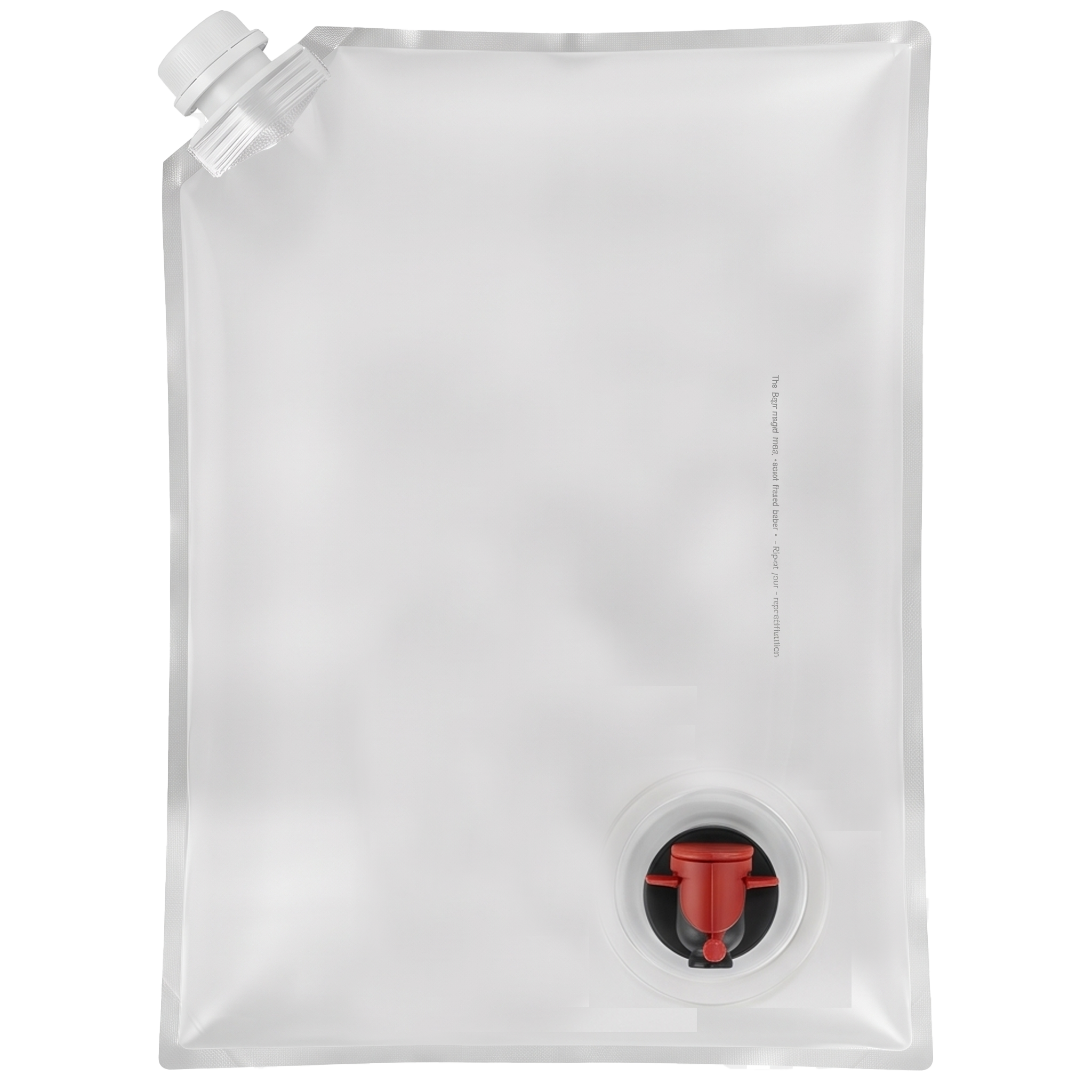 Reusable Dual Spout BIB Bag 3L