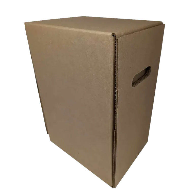 18L/20L/5G Kraft Brown BIB Box sample